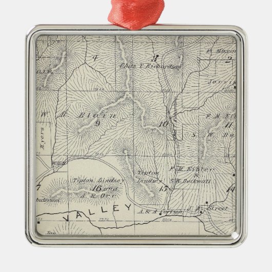 T19S R28E Tulare郡セクション地図 メタルオーナメント (正面)