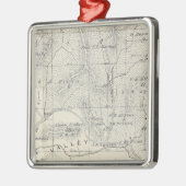 T19S R28E Tulare郡セクション地図 メタルオーナメント (左)