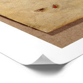 T31567種々の昆虫、果実、アニマの勉強 ポスター (角)