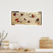 T31567種々の昆虫、果実、アニマの勉強 ポスター (キッチン)