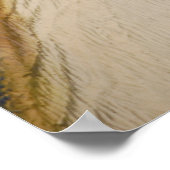 T-レックス恐角 ポスター (角)