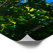 T-1A、T-38C、およびT-6A米国国旗の蛍光 ポスター (角)