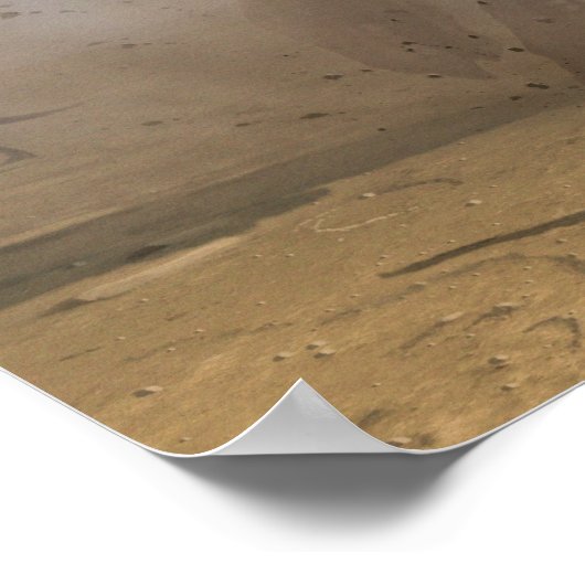 T Rex ポスター (角)