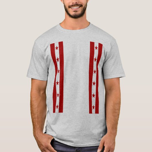 T-shirt gris homme  ETOILES Tシャツ (正面)