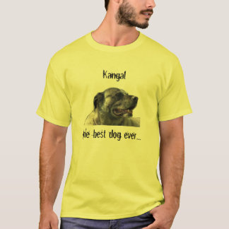 t-shirt mit kangal tシャツ