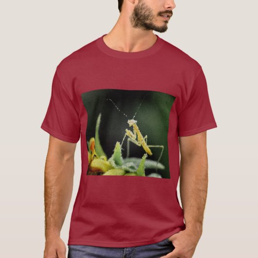 T-Shirt - Stained Glass Mantis Tシャツ (正面)