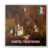 TAA052 TROSTBURG CASTLEポンテガーデナ、 タイル (正面)
