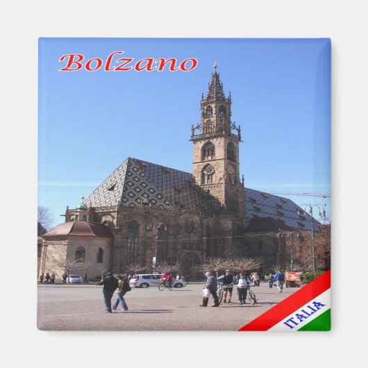 TAA063 BOLZEN BOLZANO，イタリア，ヨーロッパ，冷蔵庫 マグネット (正面)