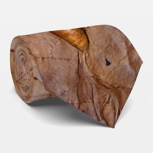 Tabakblatt mit Zigarre tobacco leaf with cigar ネクタイ (ロール)