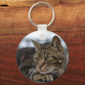 Tabby catのアクション準備 キーホルダー (正面)