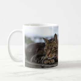 Tabby catのアクション準備 コーヒーマグカップ