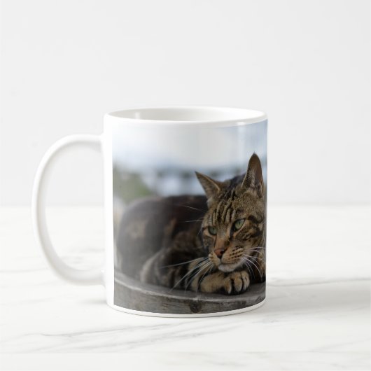 Tabby catのアクション準備 コーヒーマグカップ (左)