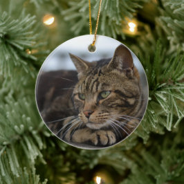 Tabby catのアクション準備 セラミックオーナメント