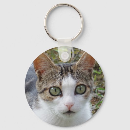 Tabby Catキーチェーン キーホルダー (正面)