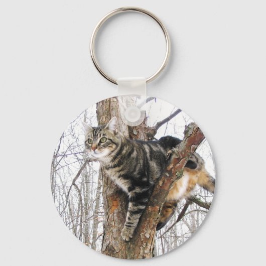 Tabby Catキーチェーン キーホルダー (正面)