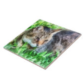 Tabby Catクローズアップ タイル (側面)