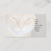 Tabby catクローズアップ 名刺 (裏面)