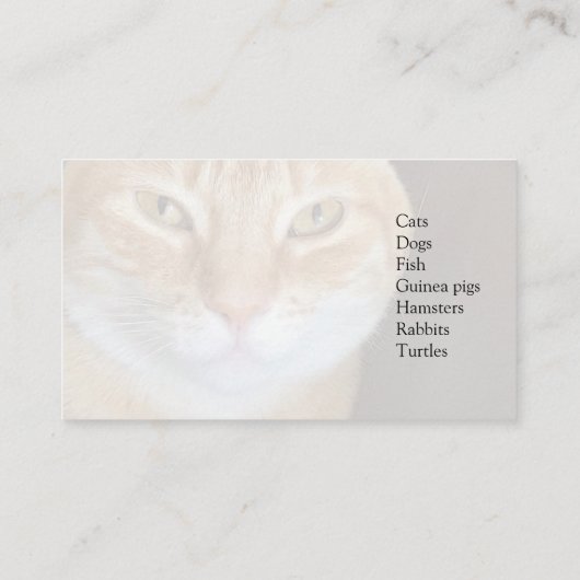 Tabby catクローズアップ 名刺 (裏面)