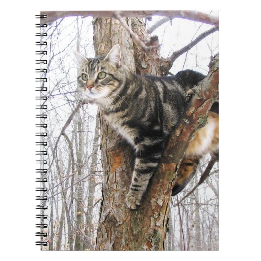 Tabby Catノートブック ノートブック (正面)
