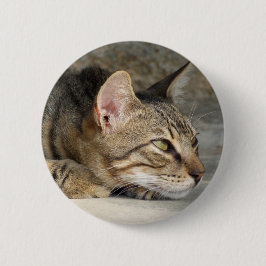 Tabby Catボタン 缶バッジ