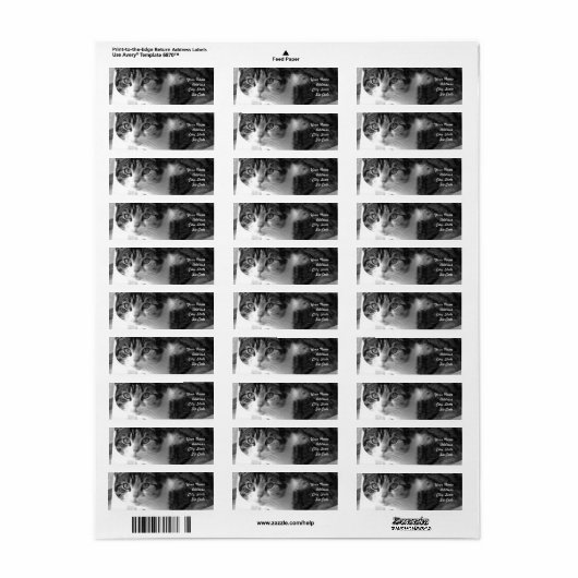 Tabby cat住所 シール (フルシート)