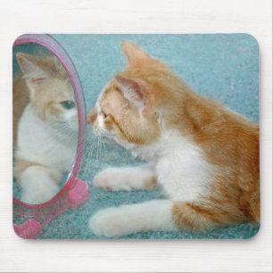 Tabby cat探す鏡 マウスパッド