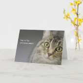 Tabby Cat誕生日カードのフォーカスによる原因 カード (黄色い花)