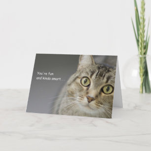 Tabby Cat誕生日カードのフォーカスによる原因 カード
