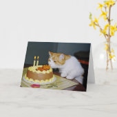 Tabby Cat誕生日グリーティングカード カード (黄色い花)