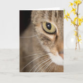 Tabby Cat顔フォトグリーティングカード空白の カード (黄色い花)