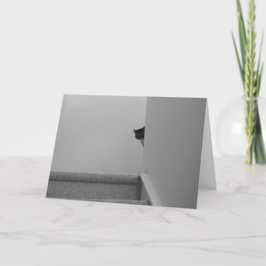 Tabby Cat – ウォッチング、カード カード (正面)