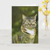 Tabby Cat、カード カード (黄色い花)
