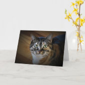 Tabby Cat、カード カード (黄色い花)