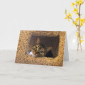 Tabby Cat、カード カード (黄色い花)