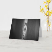 Tabby Cat、カード カード (黄色い花)