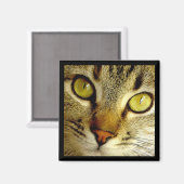 Tabby Cat – マグネット (正面/裏面)