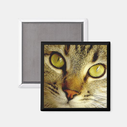 Tabby Cat – マグネット (正面/裏面)