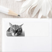 Tabby cat、差出人住所ラベル ラベル (インサイチュ)