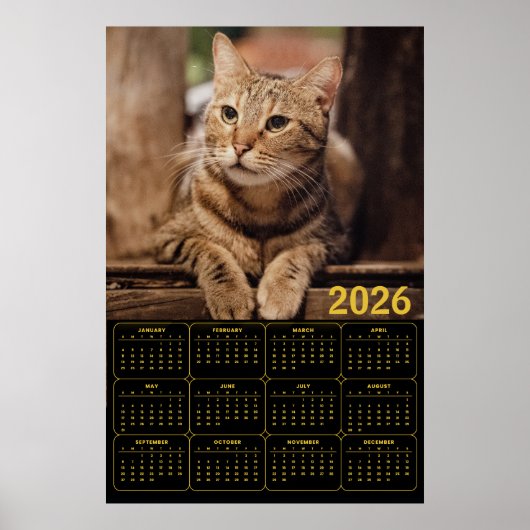 Tabby Cat 2026 Calendar ポスター (正面)