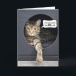 Tabby Cat 40th Birthdayユーモア カード<br><div class="desc">40歳の誕生日に吹き出しの吹き出物を入れたキュービクルボックスの灰色のタビーキャット。年齢は編集できる。</div>