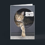 Tabby Cat 40th Birthdayユーモア カード<br><div class="desc">40歳の誕生日に吹き出しの吹き出物を入れたキュービクルボックスの灰色のタビーキャット。年齢は編集できる。</div>
