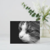 Tabby Cat Black & Whiteポートレート – 動物はがき ポストカード (スタンド正面)