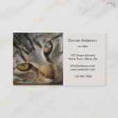 Tabby Cat - Cat Sister名刺 名刺 (裏面)