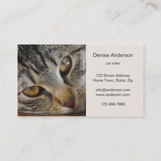 Tabby Cat - Cat Sister名刺 名刺 (裏面)