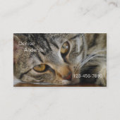 Tabby Cat - Cat Sister名刺 名刺 (正面)