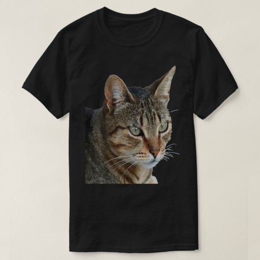 Tabby Cat Close Up素晴らしポートレートベクトル  Tシャツ (デザイン正面)