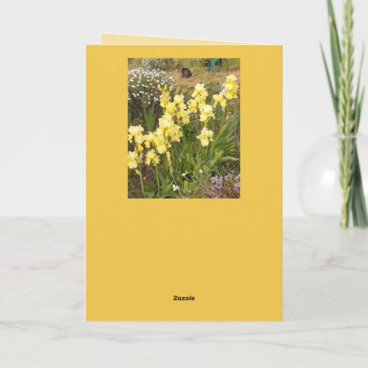 Tabby Cat Cute Yellow Iris Valentines Wifes Name カード (裏面)