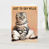 TABBY CAT GREETING CARD TO HELLO カード (正面)