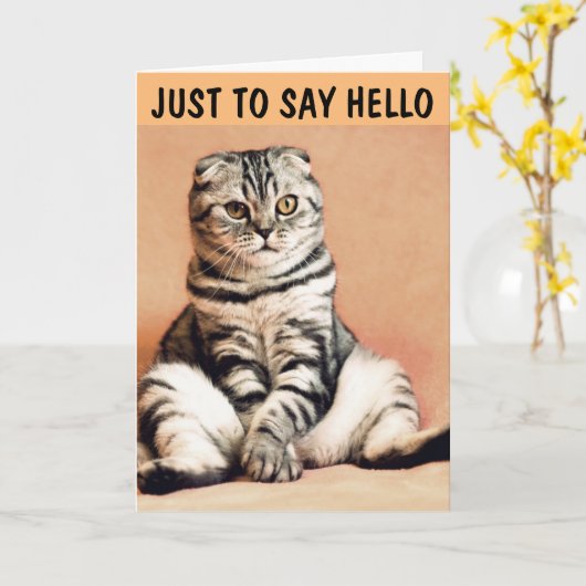 TABBY CAT GREETING CARD TO HELLO カード (黄色い花)