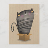 Tabby cat in box ポストカード (正面)